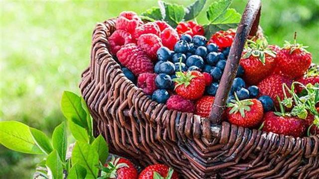 Μούρα και σταφύλια ωφελούν το αναπνευστικό