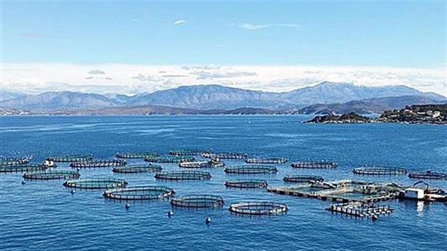 Σελόντα: Διευκρινίσεις για την ολοκλήρωση της πώλησης στην Andromeda Seafood