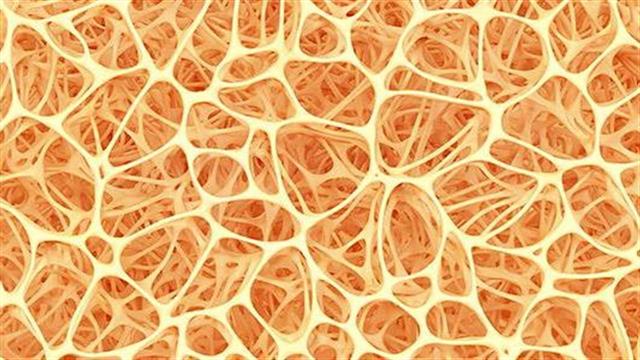 Προβιοτικά κατά της οστικής απώλειας σε γυναίκες μεγαλύτερης ηλικίας