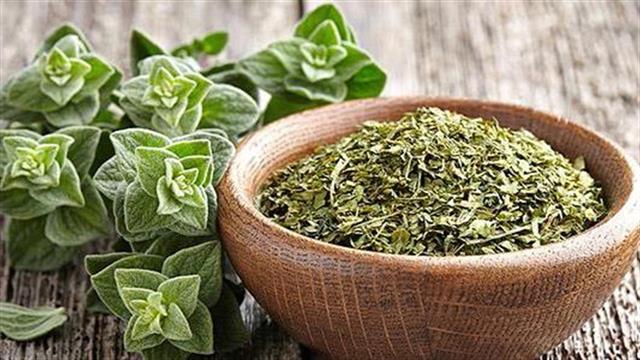 Ρίγανη: Ποια είναι η φαρμακευτική της χρήση