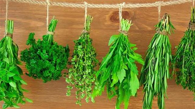 Βότανα που βοηθούν στην απώλεια βάρους