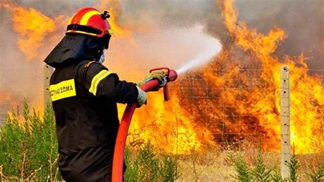 Ψυχολογική υποστήριξη στους πυρόπληκτους