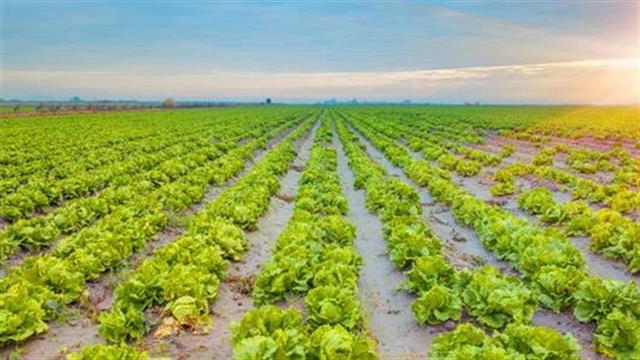 Λιγότερο θρεπτικές σοδειές λόγω κλιματικής αλλαγής;