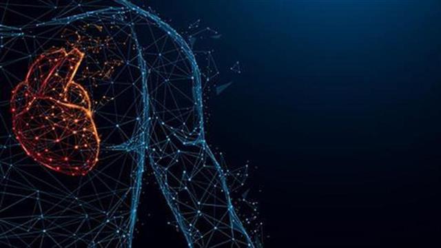 Καρδιαγγειακές παθήσεις: Ακόμα και οι γυμνασμένοι μεσήλικες αθλητές κινδυνεύουν