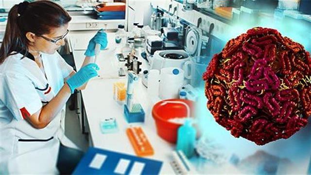 3,4 φορές περισσότερα φέτος τα κρούσματα λοίμωξης από ιό του Δυτικού Νείλου στην Ευρώπη