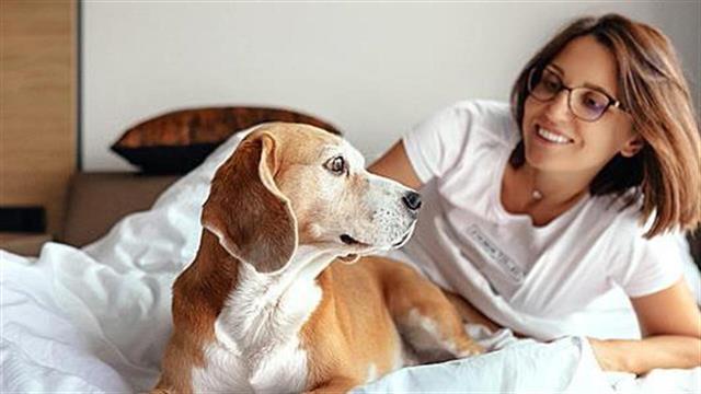 Να κοιμηθώ στο ίδιο κρεβάτι με τον σκύλο μου;