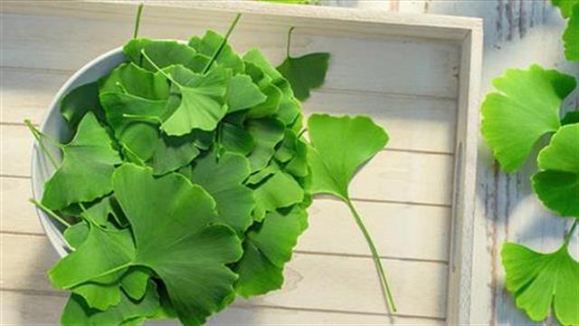 Πώς να αποτρέψεις τη γήρανση του εγκεφάλου