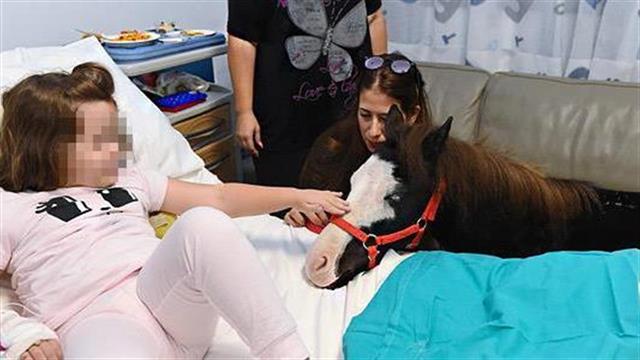 To ΙΑΣΩ Παίδων φιλοξένησε την Ήβη και τον Ηρακλή!