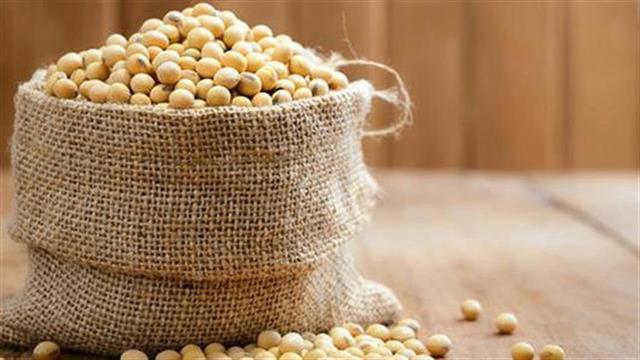 Πρωτεϊνη σόγιας: καλή ή κακή;