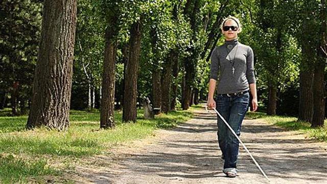 Παγκόσμια Ημέρα λευκού μπαστουνιού