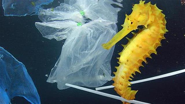 Απαγόρευση σε μαχαιροπήρουνα μιας χρήσης, μπατονέτες και καλαμάκια από το 2021