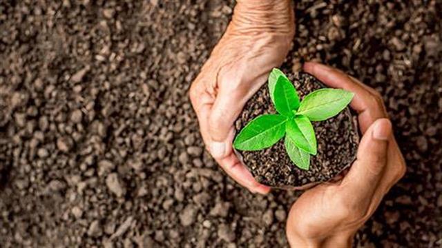 Δεν παράγουμε αρκετά φρούτα και λαχανικά στον πλανήτη