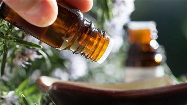 Αιθέριο έλαιο δενδρολίβανου: Οφέλη και χρήσεις