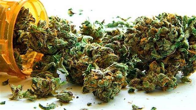 Σε ανοδική πορεία η αγορά κάνναβης