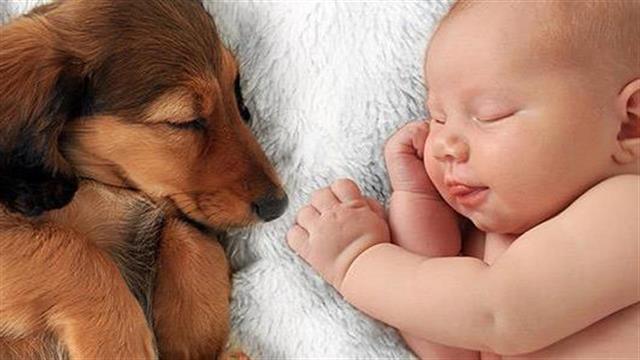 Η έκθεση μωρών σε κατοικίδια μειώνει τις αλλεργίες στο μέλλον