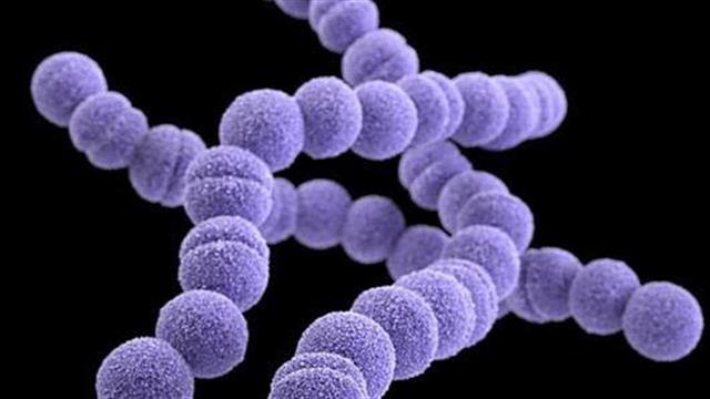 Γρήγορη διάγνωση στο Hadassah έσωσε τη ζωή μωρού από στρεπτόκοκκο