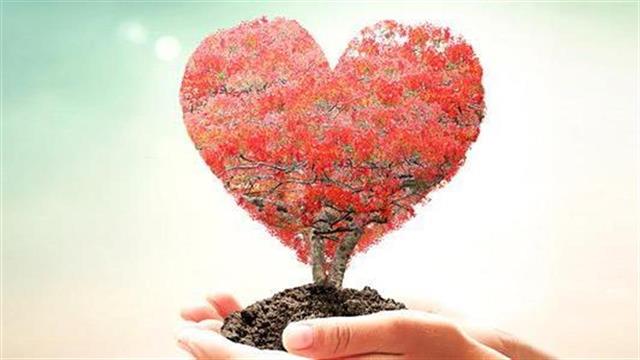 Τα μυστικά της καρδιάς και του συναισθήματος στα Body in Balance weekends