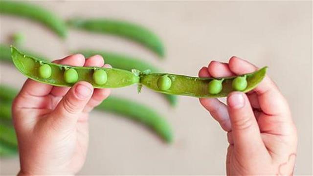 Ανοδικά κινείται η παγκόσμια αγορά κατεψυγμένων προϊόντων