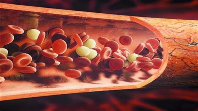 Από τη Δευτέρα σε εφαρμογή το μητρώο θαλασσαιμικών ασθενών στον ΕΟΠΥΥ – Οδηγίες