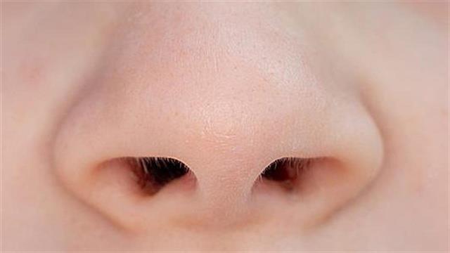 Σκολίωση ρινικού διαφράγματος: Επιδεινώνεται με τη γήρανση;