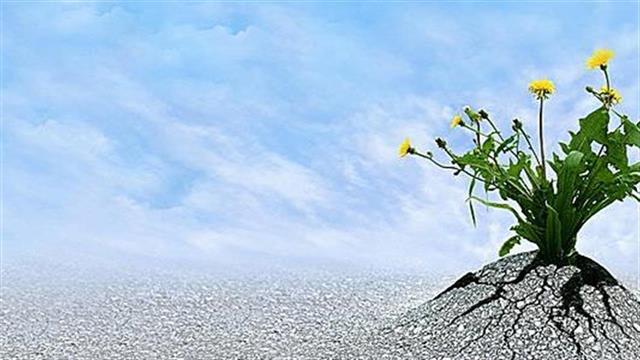 Πώς μπορούμε να ενισχύσουμε την ψυχική ανθεκτικότητα