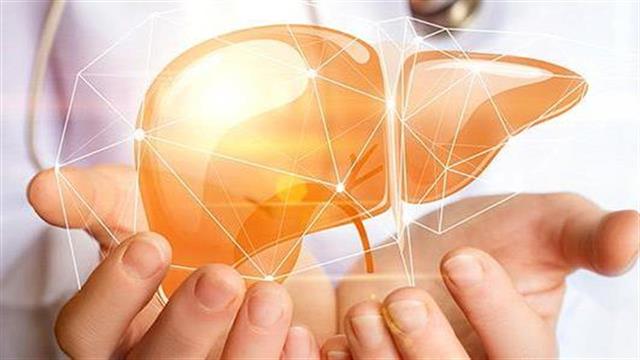 Ερευνητές ανακάλυψαν πιθανή νέα αγωγή για ηπατικές νόσους