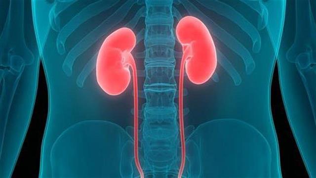 Στις τελευταίες θέσεις παγκοσμίως η Ελλάδα στους δότες μεταμοσχεύσεων με 45 δότες