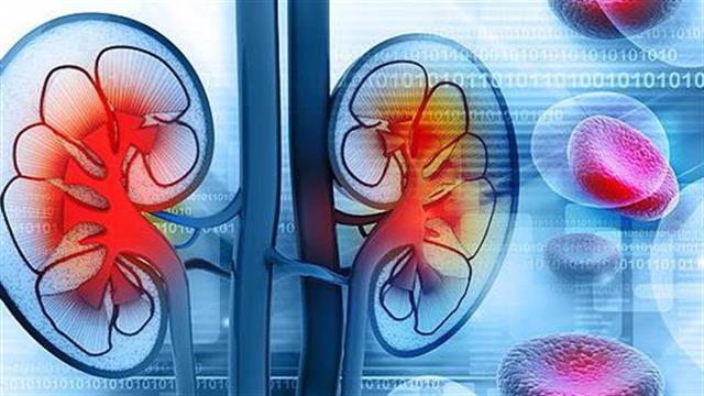 Η γρίπη μπορεί να αποτελεί παράγοντα για πολλούς θανάτους στη νεφρική ανεπάρκεια