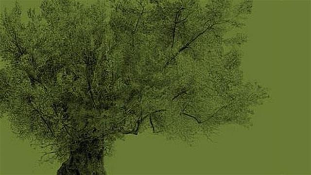 Olympia  health & nutrition awards 2019