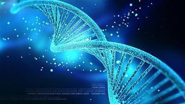 Στην οργάνωση του DNA μας κρύβεται η προδιάθεση για την εμφάνιση ασθενειών;
