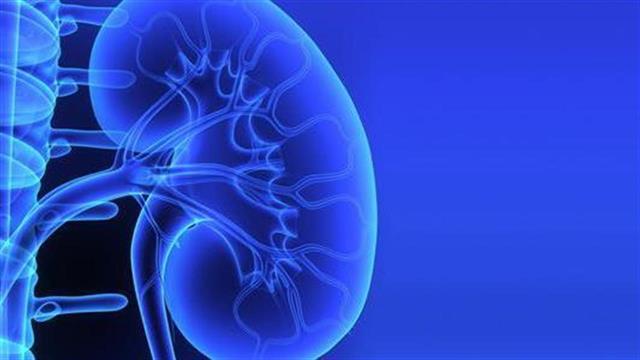 Μέθοδος επιλογής για τη μερική νεφρεκτομή