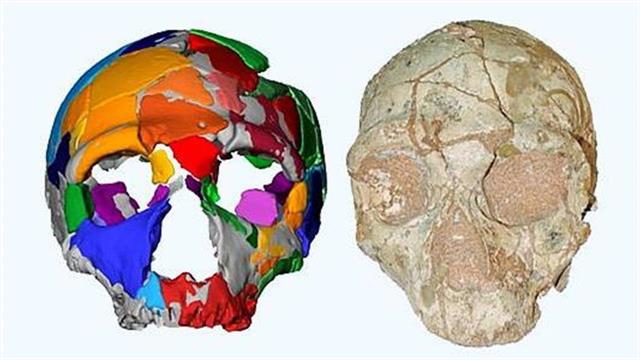 Στην Ελλάδα το παλαιότερο δείγμα του Homo sapiens της Ευρασίας