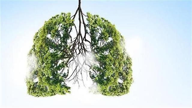 Chiesi Hellas: Σταθερός τριπλός συνδυασμός για ασθενείς με ΧΑΠ αποζημιώνεται πλέον και στην Ελλάδα