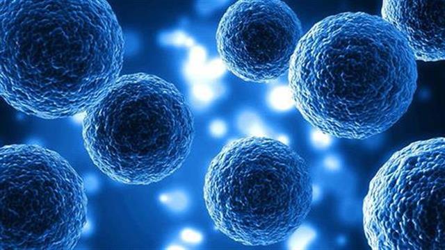 Τα ευάλωτα κύτταρα στην εγκεφαλική βλάβη ασθενών με ΣΚΠ