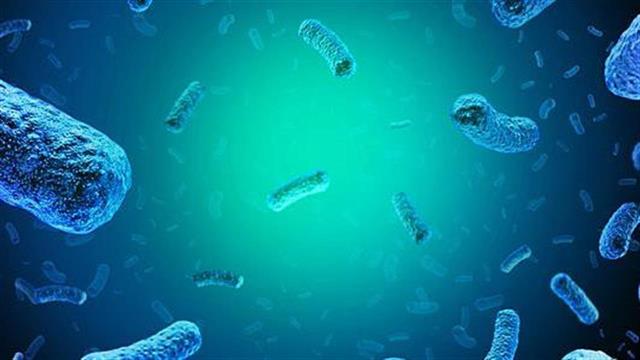 Οι ηλικιωμένοι είναι η πιο ευπαθής ομάδα να νοσήσει από λιστερίωση