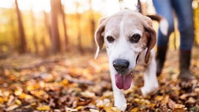 Πώς να νιώσεις καλύτερα σε λιγότερο από 15 λεπτά