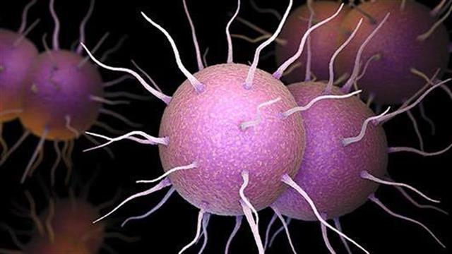 Βρέθηκε τρόπος πρόληψης της λοίμωξης από γονόρροια;