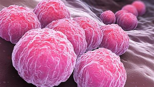 Δοκιμάζεται εμβόλιο για τα χλαμύδια