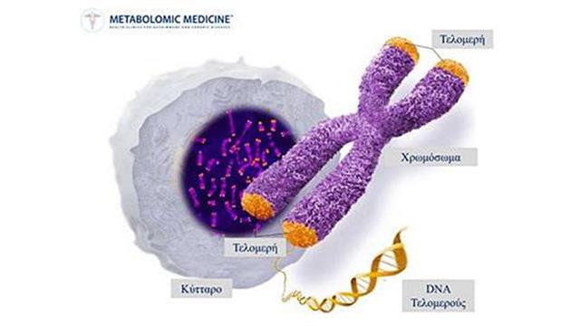 Έλληνες ερευνητές ανακάλυψαν την πιο ισχυρή ουσία που έχει βρεθεί μέχρι σήμερα και ενεργοποιεί το ένζυμο της αθανασίας