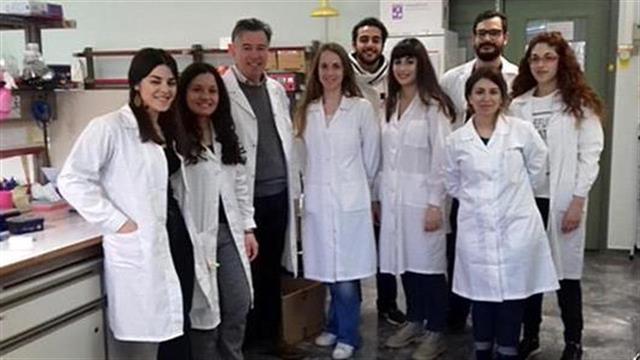 Σημαντικό βήμα για την κατανόηση της υδροκεφαλίας στον άνθρωπο κάνουν ερευνητές από το Πανεπιστήμιο Πατρών