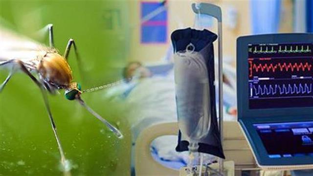 Κρούσματα ιού του Δυτικού Νείλου μέχρι τον Νοέμβριο - Εκτιμήσεις ειδικών και τα "ρεκόρ" της Ελλάδας