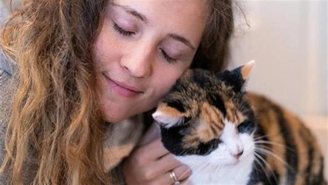 Και οι γάτες δένονται με τους ιδιοκτήτες τους όπως οι σκύλοι