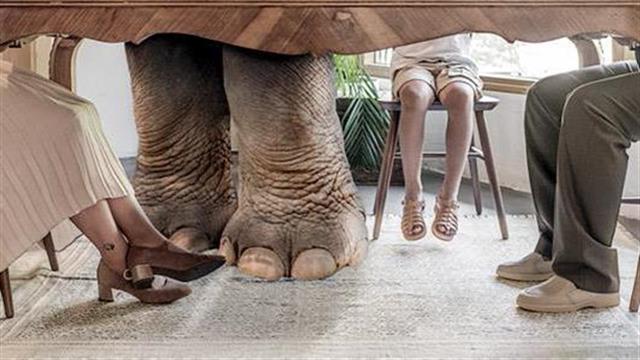 Ένας ελέφαντας στο δωμάτιο: ‘Εργο που προσεγγίζει το θέμα της απώλειας μνήμης