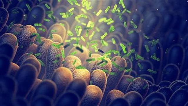 Τα μικρόβια του εντέρου στις νευρολογικές και ψυχιατρικές παθήσεις