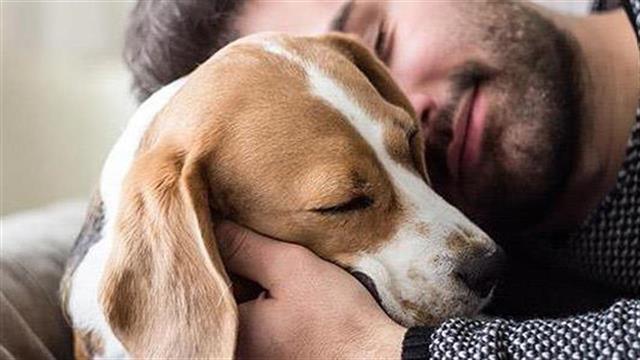 Πώς θα κάνεις ευτυχισμένο τον σκύλο σου