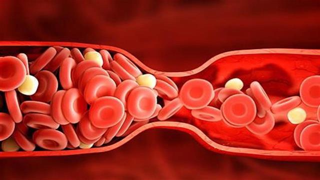 Χοληστερόλη: Μπορεί να επηρεάσει τη γονιμότητα;