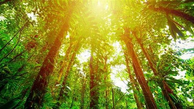 Προστασία της βιοποικιλότητας: Tο ΕΚ ζητά δεσμευτικούς στόχους