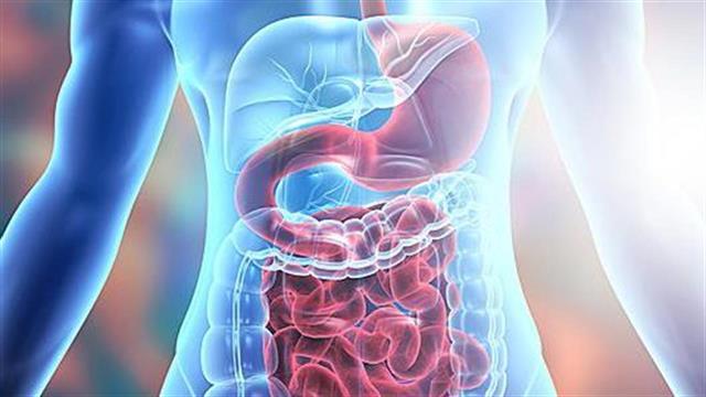 Περίεργα στοιχεία για τον ανθρώπινο οργανισμό