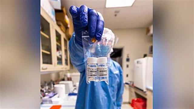 Πιθανό εμβόλιο για τον SARS-CoV-2 από το Πανεπιστήμιο του Pittsburgh