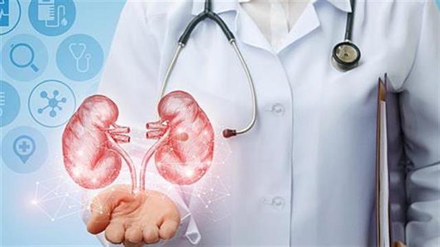 Τα προβλήματα των Νεφροπαθών Μεταμοσχευμένων εκ Νεφρού